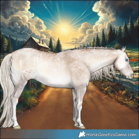 Horse Color:Chocolate Palomino Ice Pearl Onyx Tobiano Rabicano 