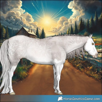 Horse Color:Platinum Liver Chestnut Ice Pearl Splash Rabicano 