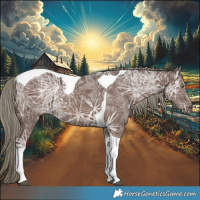 Horse Color:Liver Chestnut Ice Mushroom Tobiano Rabicano 