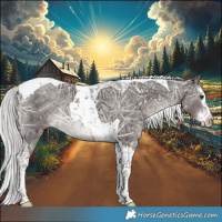 Horse Color:Platinum Liver Chestnut Ice Splash Tobiano Rabicano 