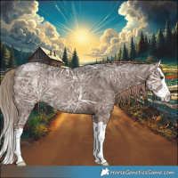 Horse Color:Liver Chestnut Ice Splash Rabicano 