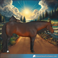 Horse Color:Brown 