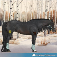 Horse Color:Brown Varnish 