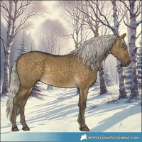 Horse Color:Silver Buckskin Dun 