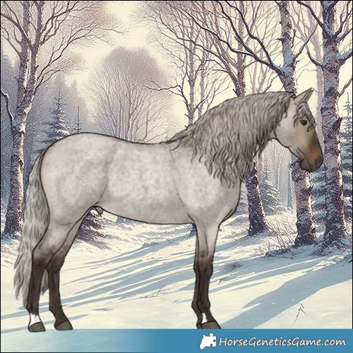 Horse Color:Silver Brown Roan Dun 