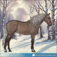 Horse Color:Silver Brown Dun