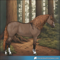 Horse Color:Liver Red Dun  and Liver Red Dun 