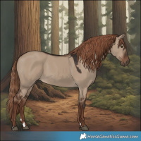 Horse Color:Liver Red Dun
