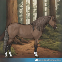 Horse Color:Liver Red Dun 