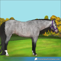 Horse Color:Gray Brown Roan Varnish 