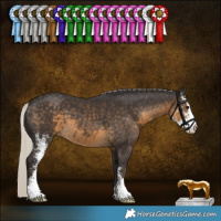 Horse Color:Silver Smoky Black Sabino 
