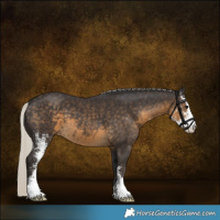 Horse Color:Silver Smoky Black Sabino