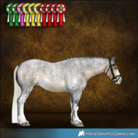 Horse Color:Silver Buckskin Roan Sabino 