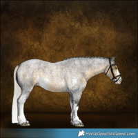 Horse Color:Silver Buckskin Roan Sabino 