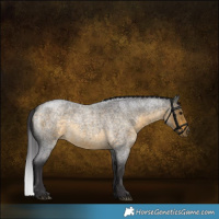 Horse Color:Buckskin Roan 