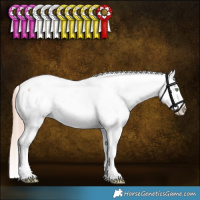 Horse Color:Gold Champagne Roan Dun Sabino Snowcap
