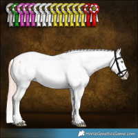 Horse Color:Gold Champagne Roan Dun Sabino Snowcap 
