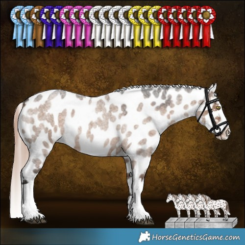 Horse Color:Liver Red Dun Roan Tobiano Appaloosa Rabicano