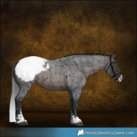 Horse Color:Brown Roan Sabino Snowcap 