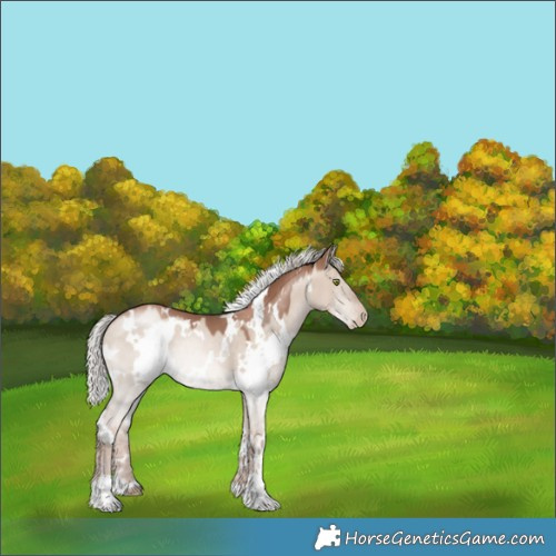 Horse Color:White Spotted Silver Brown Pearl Dun Mushroom 