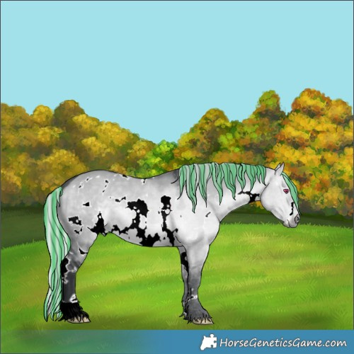 Horse Color:Painted White Spotted Silver Brown Chinchilla Dun 