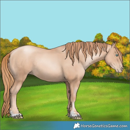 Horse Color:Gold Champagne Pearl Rabicano  and Gold Champagne Pearl Rabicano 