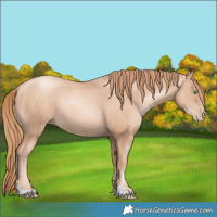 Horse Color:Gold Champagne Pearl Rabicano  and Gold Champagne Pearl Rabicano 