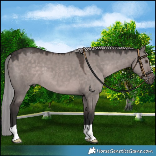 Horse Color:Platinum Liver Red Dun 