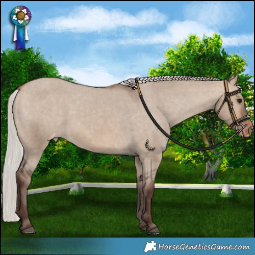 Horse Color:Silver Bay Dun Varnish Rabicano 