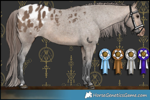 Horse Color:Bay Dun Blanket Rabicano 