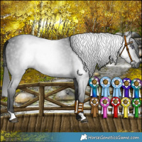 Horse Color:Gray Platinum Bay Chinchilla 