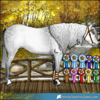 Horse Color:Gray Platinum Bay Chinchilla 