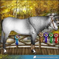 Horse Color:Gray Platinum Bay Chinchilla 