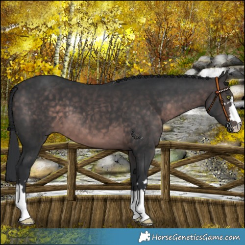 Horse Color:Platinum Brown 