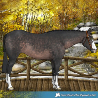 Horse Color:Platinum Brown 