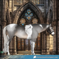 Horse Color:Gray Silver Brown Tobiano 