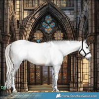 Horse Color:Gray Silver Brown Tobiano 