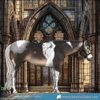 Horse Color:Gray Silver Brown Tobiano