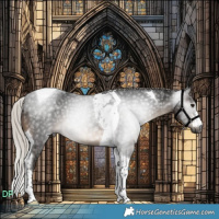 Horse Color:Gray Silver Brown Tobiano 