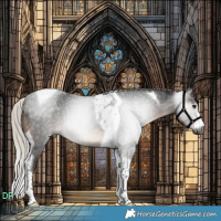 Horse Color:Gray Silver Brown Tobiano