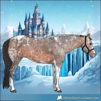 Horse Color:Brown Ice Tobiano