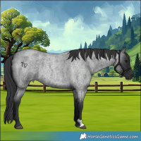 Horse Color:Blue Roan