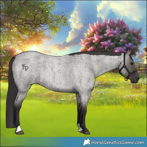 Horse Color:Smoky Grullo Roan 