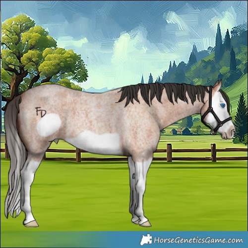 Horse Color:Bay Roan Splash Frame 