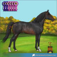 Horse Color:Brown Rabicano 