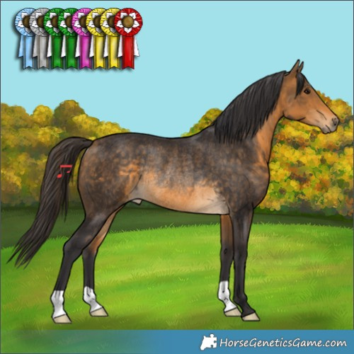 Horse Color:Buckskin Rabicano 