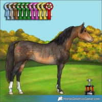 Horse Color:Buckskin Rabicano 