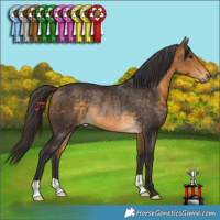 Horse Color:Buckskin Rabicano 