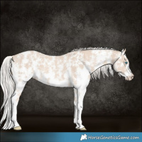 Horse Color:Cremello Sabino  and Cremello Sabino 