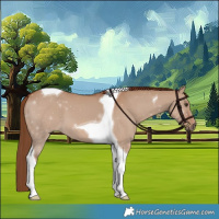 Horse Color:Red Dun Tobiano
